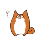 いつものしばいぬさん。（個別スタンプ：1）