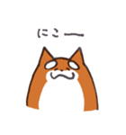 いつものしばいぬさん。（個別スタンプ：2）