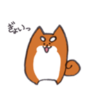 いつものしばいぬさん。（個別スタンプ：3）