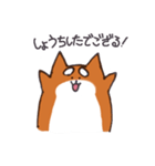 いつものしばいぬさん。（個別スタンプ：4）