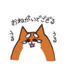 いつものしばいぬさん。（個別スタンプ：6）