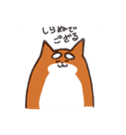 いつものしばいぬさん。（個別スタンプ：8）