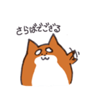 いつものしばいぬさん。（個別スタンプ：10）
