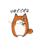 いつものしばいぬさん。（個別スタンプ：13）