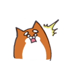 いつものしばいぬさん。（個別スタンプ：19）