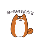 いつものしばいぬさん。（個別スタンプ：30）