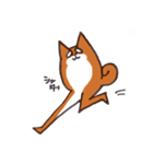 いつものしばいぬさん。（個別スタンプ：38）