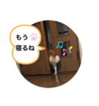 トイプードル♡レオ②（個別スタンプ：28）