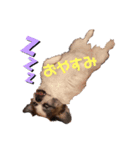 瑠将kunの挨拶（個別スタンプ：5）
