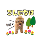 A.K.S.K.R.C.S♡Family（個別スタンプ：1）