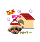 A.K.S.K.R.C.S♡Family（個別スタンプ：4）