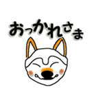 茶色い変な柴犬が毎日挨拶（個別スタンプ：7）