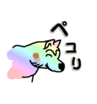 虹色の変な柴犬が毎日挨拶（個別スタンプ：15）