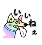 虹色の変な柴犬が毎日挨拶（個別スタンプ：21）