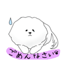 ビションフリーゼのモコ（個別スタンプ：6）