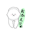 ビションフリーゼのモコ（個別スタンプ：8）