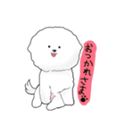 ビションフリーゼのモコ（個別スタンプ：9）