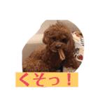 まろわた3（個別スタンプ：2）