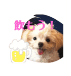 まろわた3（個別スタンプ：3）