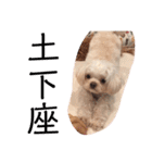 まろわた3（個別スタンプ：10）