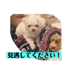 まろわた3（個別スタンプ：12）