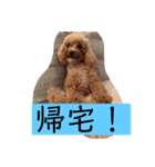 まろわた3（個別スタンプ：32）