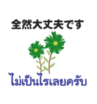 大人の丁寧な言葉 タイ語日本語（男性用）（個別スタンプ：13）