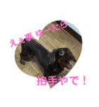 チョコタン★ミニチュア（個別スタンプ：7）
