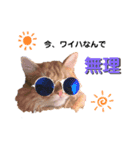 ユンクちゃん2（個別スタンプ：7）