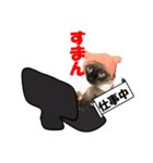 心の癒しねこちゃんず（個別スタンプ：7）