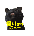 心の癒しねこちゃんず（個別スタンプ：14）