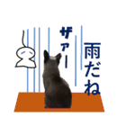 心の癒しねこちゃんず（個別スタンプ：15）