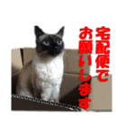 心の癒しねこちゃんず（個別スタンプ：19）