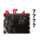 心の癒しねこちゃんず（個別スタンプ：25）