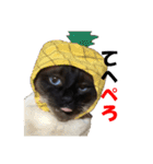 心の癒しねこちゃんず（個別スタンプ：33）