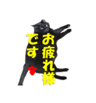 心の癒しねこちゃんず（個別スタンプ：36）