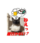 心の癒しねこちゃんず（個別スタンプ：38）