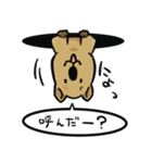 日常系クアッカワラビー（個別スタンプ：1）