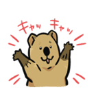 日常系クアッカワラビー（個別スタンプ：6）