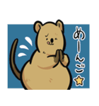 日常系クアッカワラビー（個別スタンプ：7）