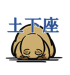 日常系クアッカワラビー（個別スタンプ：8）