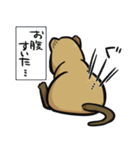日常系クアッカワラビー（個別スタンプ：9）