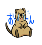 日常系クアッカワラビー（個別スタンプ：10）
