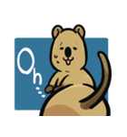 日常系クアッカワラビー（個別スタンプ：11）