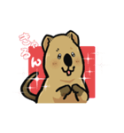 日常系クアッカワラビー（個別スタンプ：13）