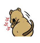 日常系クアッカワラビー（個別スタンプ：15）