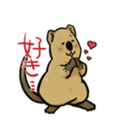 日常系クアッカワラビー（個別スタンプ：16）