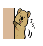 日常系クアッカワラビー（個別スタンプ：29）