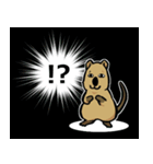 日常系クアッカワラビー（個別スタンプ：31）