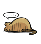 日常系クアッカワラビー（個別スタンプ：32）